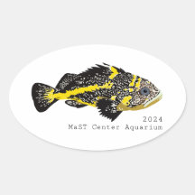 Stickers ronds Yellowstripe Rockfish 2024 - Classi