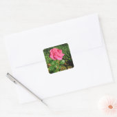 stickers Rose (Enveloppe)
