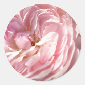 Stickers Rose