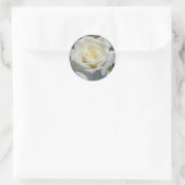 Stickers Rose blanche (Sac)