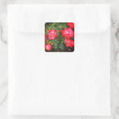 Stickers Rose Cherry Parfait #5-1 (Sac)