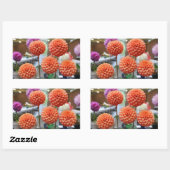 Stickers Rose Dahlia Toscane #1-2 (Feuille)