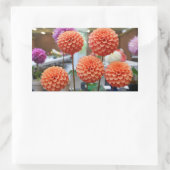 Stickers Rose Dahlia Toscane #1-2 (Sac)