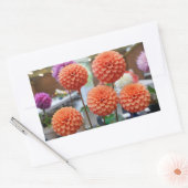Stickers Rose Dahlia Toscane #1-2 (Enveloppe)