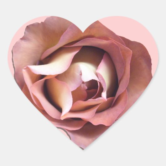 Stickers - Rose Dusky (Devant)