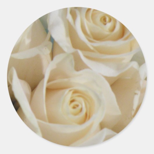 Stickers Rose ivoire (Devant)