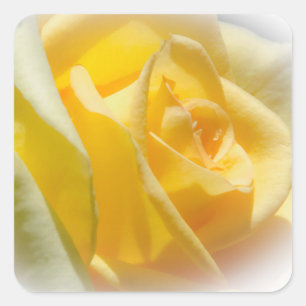 Stickers Rose jaune