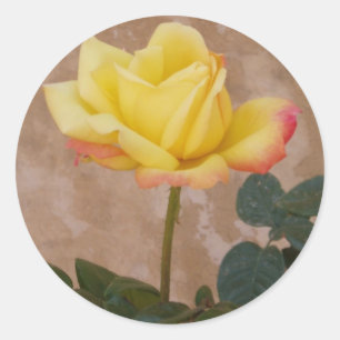Stickers Rose jaune