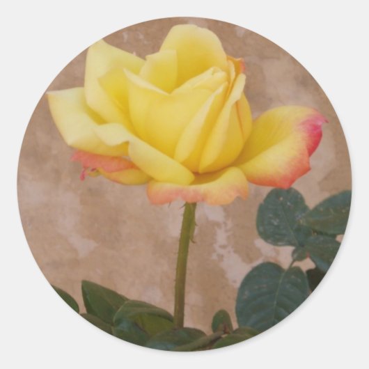 Stickers Rose jaune (Devant)