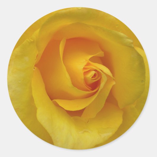 Stickers Rose Jaune Cheveux Roses cadeaux Keepsaké (Devant)
