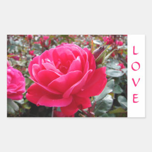 Stickers Rose Love Pink Romance
