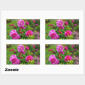 Stickers Rose Princesse Anne #2 (Feuille)