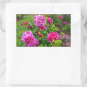 Stickers Rose Princesse Anne #2 (Sac)