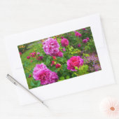 Stickers Rose Princesse Anne #2 (Enveloppe)
