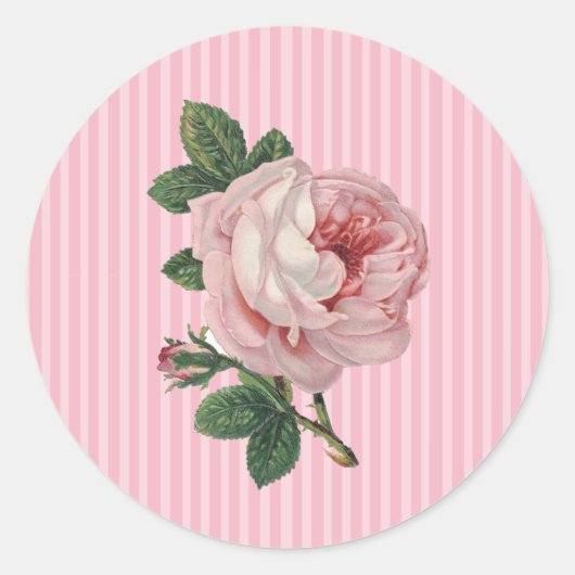 Stickers Rose rose Vintage (Devant)