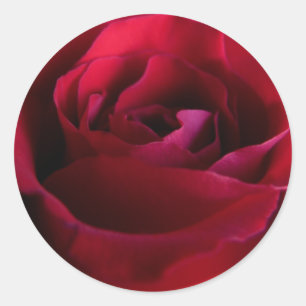 Stickers Rose rouge rose Rose Rouge cadeaux Keepsa