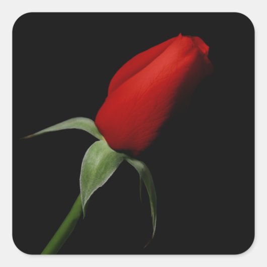 Stickers rose - Sceaux Mariage Enveloppe (Devant)