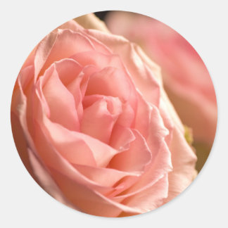 Stickers rose verdoyant