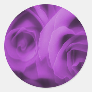 Stickers Rose violet