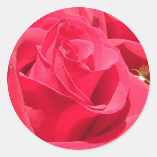 Stickers roses et joints d'enveloppe (Devant)