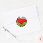 STICKERS ROUGES POPIES POUR ENVELOPES (Enveloppe)