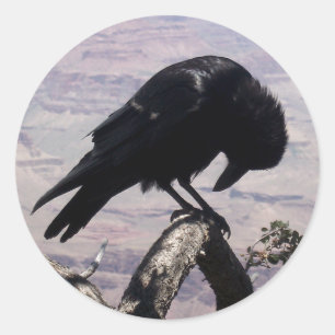 Stickers Sad Raven 01