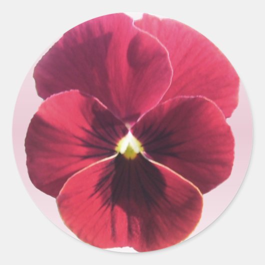Stickers - Sansy rouge foncé (Devant)