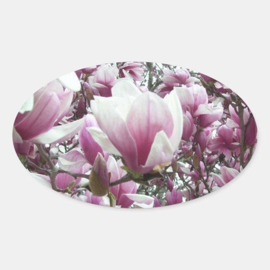 Stickers - Saucer Magnolia (Devant)