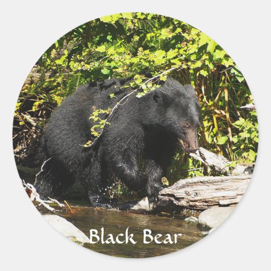 Stickers "Saumon Spots" Ours Noir Faune (Devant)