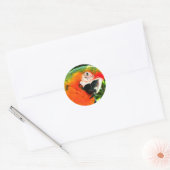 Stickers Scarlet Macaw (Enveloppe)