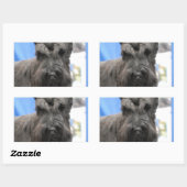 Stickers Schnauzer mous (Feuille)