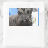 Stickers Schnauzer mous (Sac)