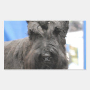 Stickers Schnauzer mous
