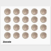 Stickers Sea Shell (Feuille)