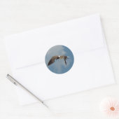 Stickers Seagull volant (Enveloppe)