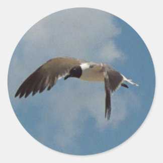 Stickers Seagull volant