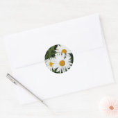 stickers Shasta Daisy (Enveloppe)