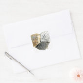 Stickers Shell (Enveloppe)