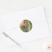 Stickers Shetland Pony (Enveloppe)