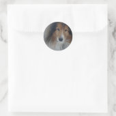 Stickers Shetland Sheepdog (Sac)