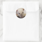 Stickers Siamese Rat de fantaisie (Sac)