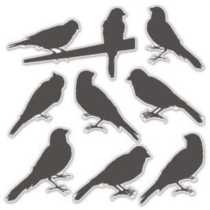Stickers Silhouette d'oiseaux canariens