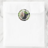 Stickers Singes Capucins Face Blanc (Sac)