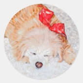 Stickers Sleeping Pup (Devant)