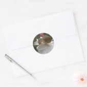 Stickers Snail et Carnation Blanche (Enveloppe)