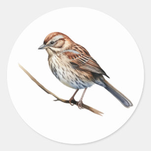 Stickers Song Sparrow Bird