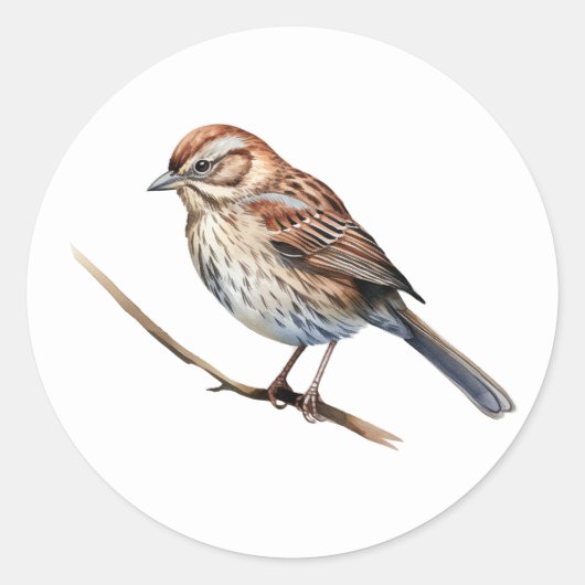 Stickers Song Sparrow Bird (Devant)