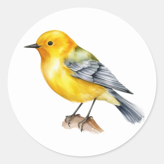 Stickers Songbird Paruline Prothonotée (Devant)