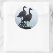 Stickers souvenir Canada Stickers oie Canada (Sac)