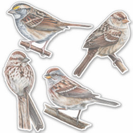 Stickers Sparrow Pack de valeur